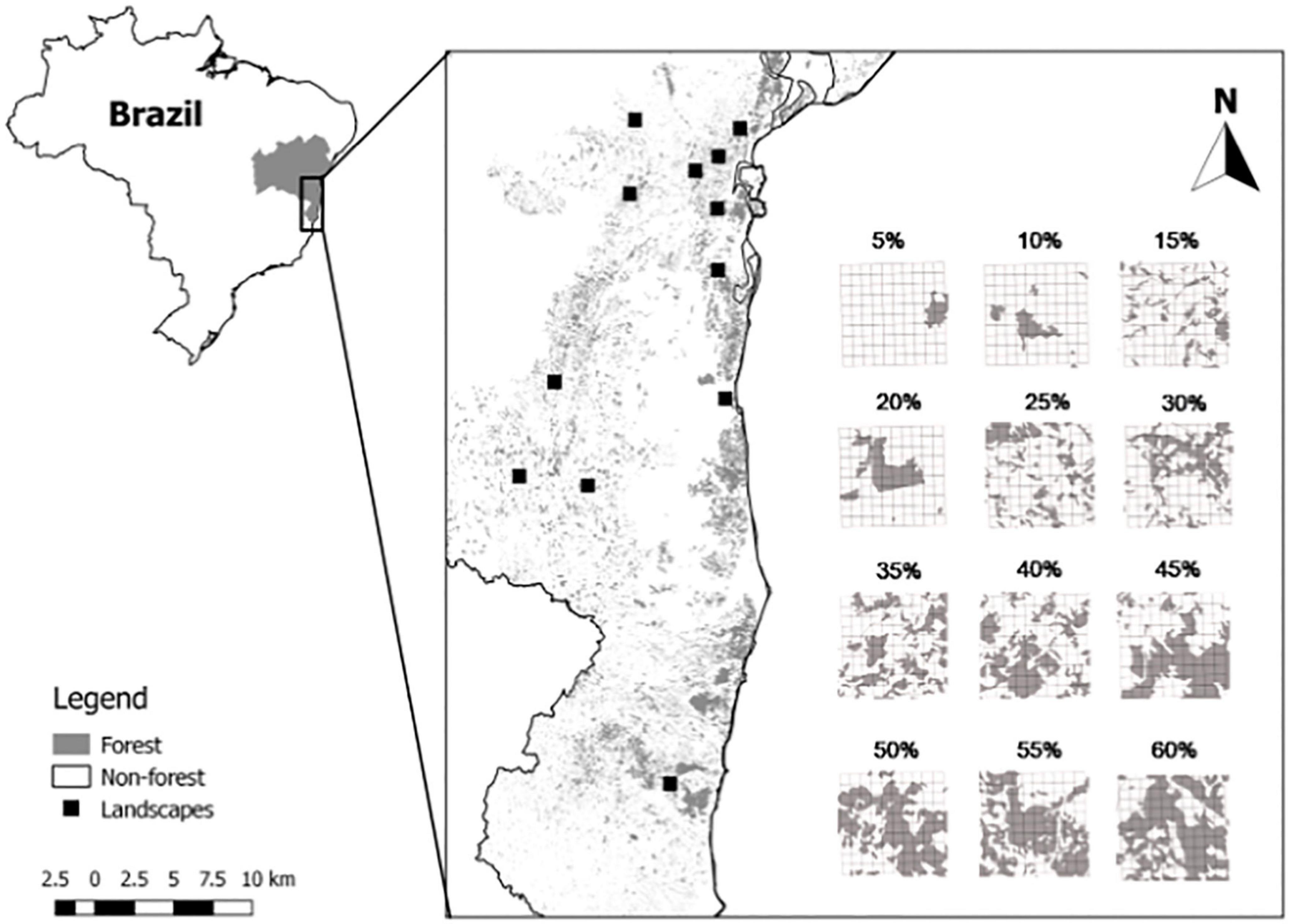 Changes in the functional diversity of birds due to habitat loss in the Brazil Atlantic Forest